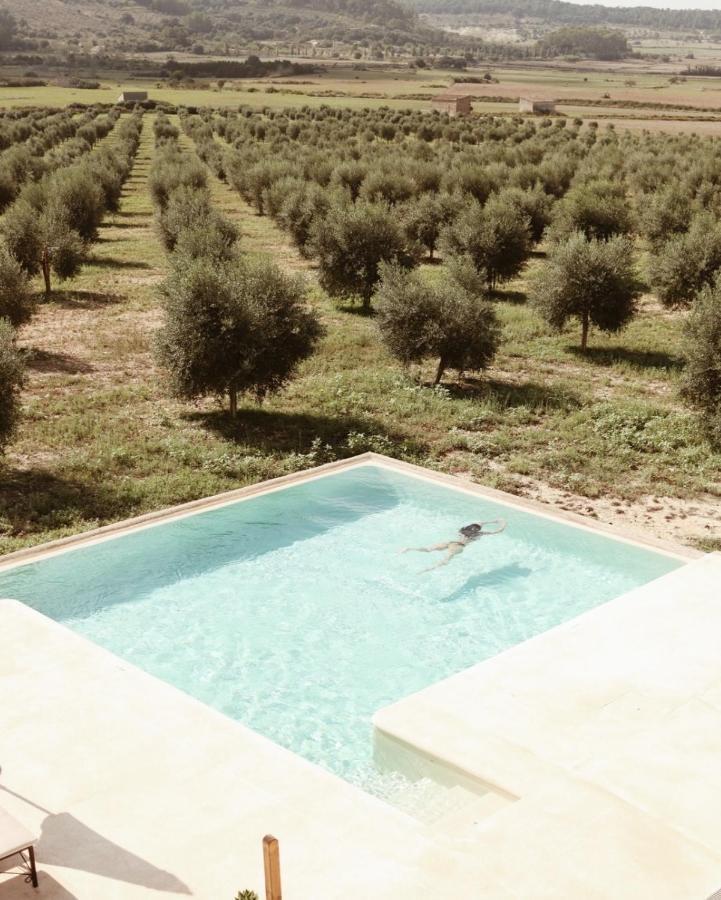Agroturisme Gossalba Sant Joan Extérieur photo