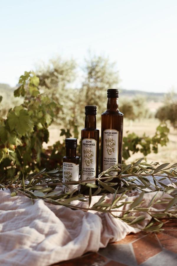 Agroturisme Gossalba Sant Joan Extérieur photo