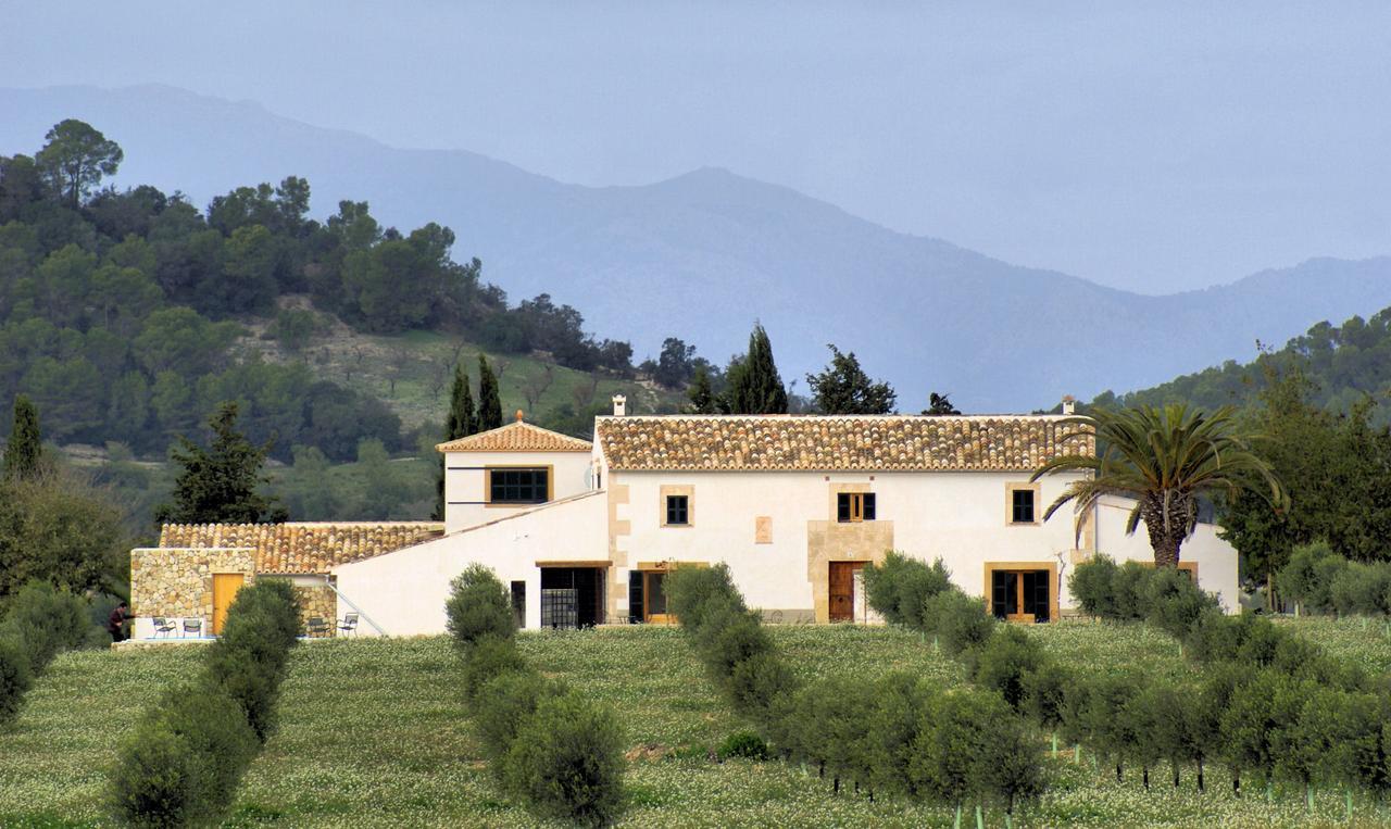 Agroturisme Gossalba Sant Joan Extérieur photo